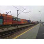 Zdjęcia użytkowników myPhone Q-Smart Elite Zdjęcia użytkowników myPhone Q-Smart Elite