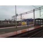 Zdjęcia użytkowników myPhone Q-Smart Elite Zdjęcia użytkowników myPhone Q-Smart Elite