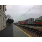 Zdjęcia użytkowników myPhone Q-Smart Elite Zdjęcia użytkowników myPhone Q-Smart Elite