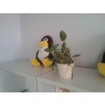 Zdjęcia użytkowników myPhone Q-Smart Elite Zdjęcia użytkowników myPhone Q-Smart Elite