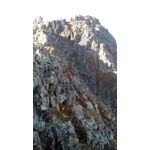 Zdjęcia użytkowników myPhone Q-Smart Slim