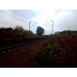 Zdjęcia użytkowników myPhone Venum