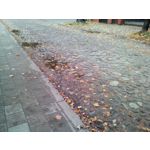 Zdjęcia użytkowników myPhone Venum