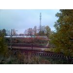 Zdjęcia użytkowników myPhone Venum