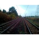 Zdjęcia użytkowników myPhone Venum