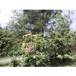 Zdjęcia użytkowników NavRoad Nexo Avio