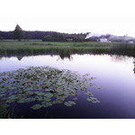 ZDJĘCIA Z TEGO TELEFONU