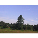 Zdjęcia użytkowników NavRoad Nexo Avio