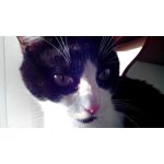 Zdjęcia użytkowników NavRoad Nexo Handy