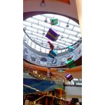 Zdjęcia użytkowników NavRoad Nexo Handy