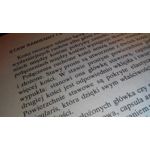 Zdjęcia użytkowników NavRoad Nexo Handy