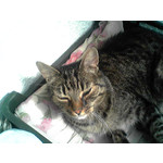 ZDJĘCIA Z TEGO TELEFONU ZDJĘCIA Z TEGO TELEFONU