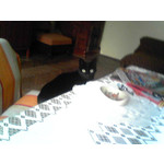 ZDJĘCIA Z TEGO TELEFONU ZDJĘCIA Z TEGO TELEFONU