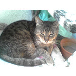 ZDJĘCIA Z TEGO TELEFONU ZDJĘCIA Z TEGO TELEFONU