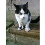 ZDJĘCIA Z TEGO TELEFONU