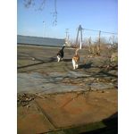 ZDJĘCIA Z TEGO TELEFONU