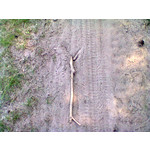 ZDJĘCIA Z TEGO TELEFONU