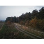 ZDJĘCIA Z TEGO TELEFONU