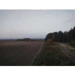 ZDJĘCIA Z TEGO TELEFONU