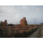 ZDJĘCIA Z TEGO TELEFONU