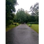 Zdjęcia użytkowników Nokia 3 Dual SIM