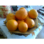 Zdjęcia użytkowników Nokia 301 Dual SIM