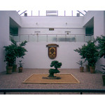 Zdjęcia użytkowników Nokia 3110 Classic