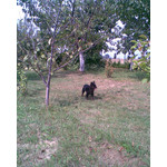 Zdjęcia użytkowników Nokia 3110 Classic