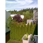 ZDJĘCIA Z TEGO TELEFONU