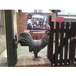 ZDJĘCIA Z TEGO TELEFONU