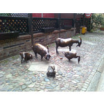 ZDJĘCIA Z TEGO TELEFONU