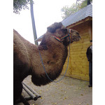 ZDJĘCIA Z TEGO TELEFONU