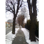 Zdjęcia użytkowników Nokia 5130 XM