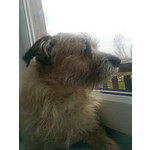 Zdjęcia użytkowników Nokia 5130 XM