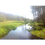 Zdjęcia użytkowników Nokia 5130 XM