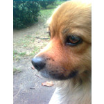 ZDJĘCIA Z TEGO TELEFONU