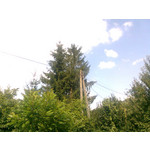 ZDJĘCIA Z TEGO TELEFONU