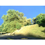 Zdjęcia użytkowników Nokia 5220