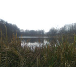 Zdjęcia użytkowników Nokia 5220