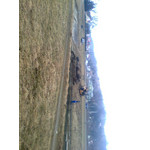 Zdjęcia użytkowników Nokia 5220