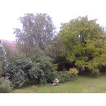 Zdjęcia użytkowników Nokia 5310