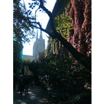 Zdjęcia użytkowników Nokia 5310