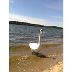 Zdjęcia użytkowników Nokia 5310