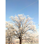 Zdjęcia użytkowników Nokia 5310