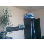 Zdjęcia użytkowników Nokia 5530 XM