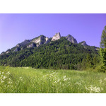 Zdjęcia użytkowników Nokia 5530 XM