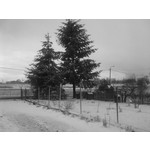 Zdjęcia użytkowników Nokia 5530 XM