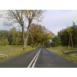 Zdjęcia użytkowników Nokia 5530 XM