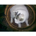 ZDJĘCIA Z TEGO TELEFONU