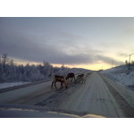 Zdjęcia użytkowników Nokia 6210 Navigator